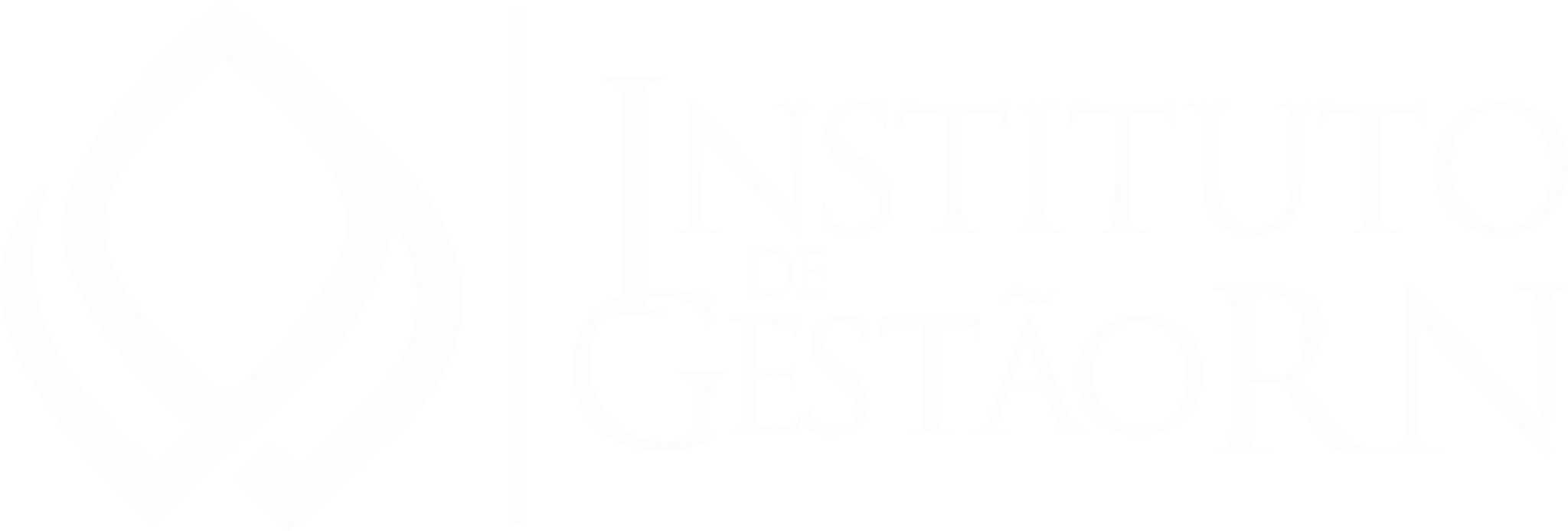 Instituto de Gestão RN